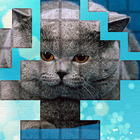 PicPu - Cat Picture Puzzle أيقونة