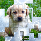 PicPu - Dog Picture Puzzle ícone