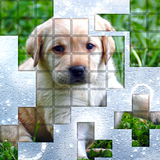 PicPu - Dog Picture Puzzle APK
