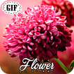 Flower GIF icon