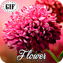 Flower GIF APK