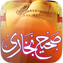 Sahih al-Bukhari APK