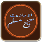Sahih Muslim Hadith (Urdu) 图标