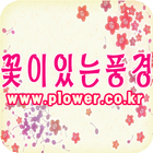 Icona 꽃이있는풍경,대구꽃배달,집,근조화한,축하,서양난,동