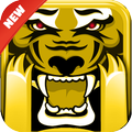 Run Tiger Run!