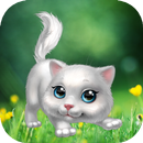 Cute white kitten APK