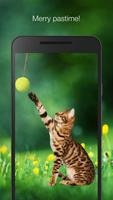 Cat playing ball live wallpaper screenshot 1