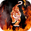 Furious tiger live wallpaper APK