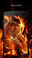 Tiger on fire live wallpaper poster