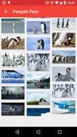 Penguins gallery Ekran Görüntüsü 3