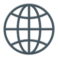 External IP Checker