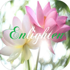 Enlighten Hair Studio 圖標