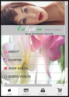 Enlighten Hair Studio Plakat