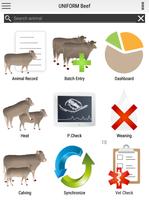 UNIFORM Beef постер