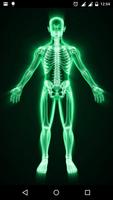 X - Ray Scanner Prank ポスター