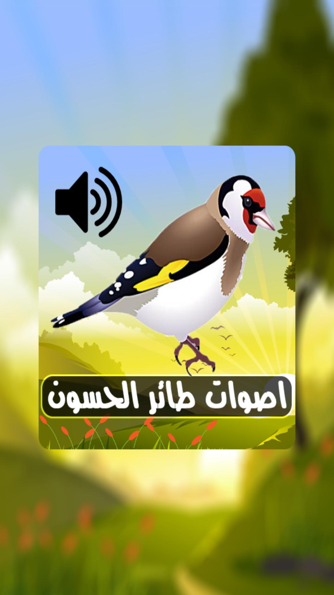 تغريد طائر الحسون المقنين MP3 APK for Android Download