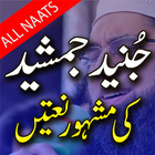 Junaid Jamshed Naats & Bayanat-icoon