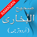 Sahih Bukhari Urdu