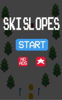 Ski Slopes poster