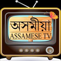 Assamese TV - অসমীয়া TV スクリーンショット 2