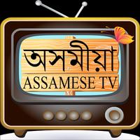 Assamese TV - অসমীয়া TV screenshot 2