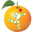 Fruits Runner APK