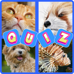 Animal Quiz 1 Pics 1 Word