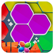 Hexa Puzzle Block