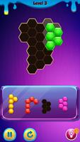 Hexa Puzzle Block 截圖 1