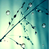Blue Raindrop Live Wallpaper-icoon