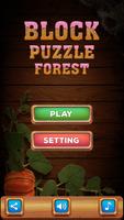 Block Puzzle Legend plakat