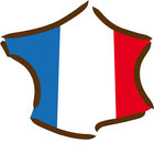 France 24 ikona