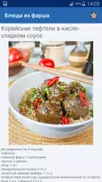 Блюда Из Фарша Много Рецептов ảnh chụp màn hình 3