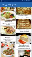 Блюда Из Фарша Много Рецептов ảnh chụp màn hình 2