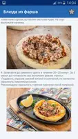 Блюда Из Фарша Много Рецептов ảnh chụp màn hình 7