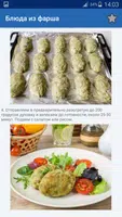 Блюда Из Фарша Много Рецептов ảnh chụp màn hình 4