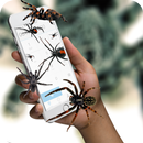 Spider in phone funny joke APK