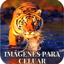 Imagenes Para Celular APK