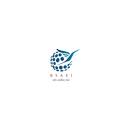 B.S.A.E.I. APK