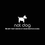 not dog