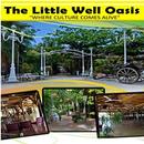 APK St.Maarten Little Well Oasis