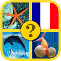Quiz Poissons