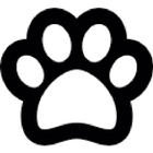 PetStore иконка
