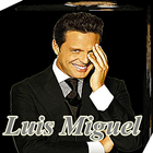 Luis Miguel Música Letras アイコン