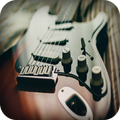 Banjo Pro
