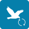Update Twitter APK