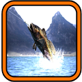 Sport Fishing