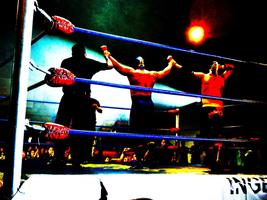 Wrestling: WWE GAME capture d'écran 3