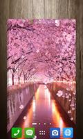 Sakura Live Wallpaper poster