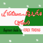 Forex Trading in Urdu ไอคอน